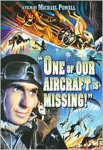 One of Our Aircraft Is Missing