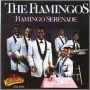 Flamingo Serenade