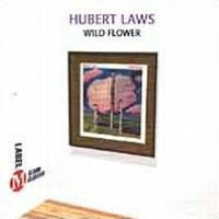 Wild Flower