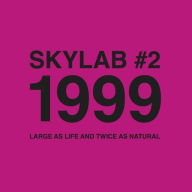 Title: Skylab #2, 1999: Large as Life and Twice as Natural, Artist: Skylab