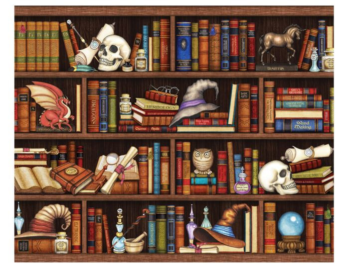 Jigsaw Central Magic Bookshelf 1000 Piece Jigsaw Puzzle for Adults and