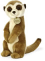 MIYONI MEERKAT