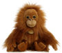 MIYONI ORANGUTAN