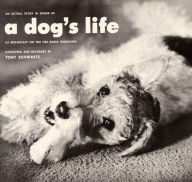 Title: An Actual Story in Sound of a Dog's Life, Artist: Tony Schwartz