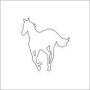 White Pony