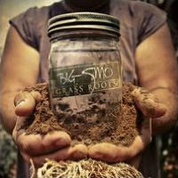 Grass Roots