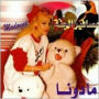 Asafeer el Jenah