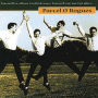 Parcel O'Rogues
