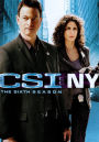 CSI: NY The Sixth Season