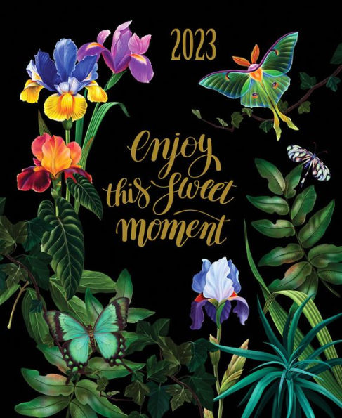 2022-2023 Chunky Planner Floral Moth by Madison Park Greetings | Barnes