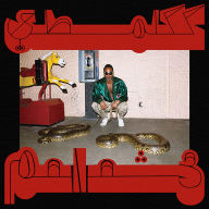 Title: Robed in Rareness, Artist: Shabazz Palaces
