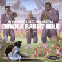 Down a Rabbit Hole