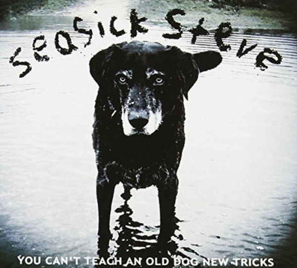 You Can't Teach An Old Dog New Tricks