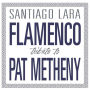 Flamenco Tribute to Pat Metheny