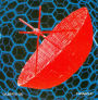 Parabolic