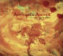 Andean's Ascent