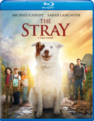 Title: The Stray [Blu-ray]