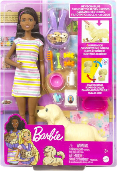 Barbie Doll and Pets