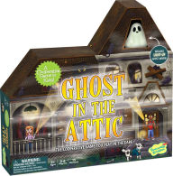 Ghost In the Attic