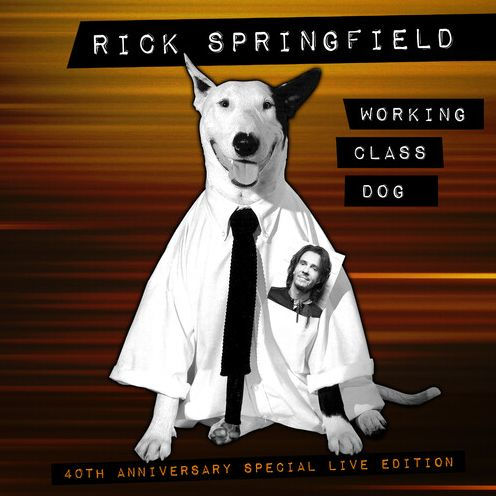 Working Class Dog