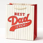 Best Day Ever Baseball Gift Bag - Medium