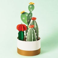 Title: Potted Cactus Kit