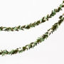 Celebration Greenery Felt Garland