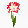 Amaryllis Paper Flower