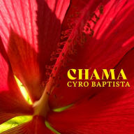 Title: Chama, Artist: Cyro Baptista