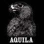 Aquila