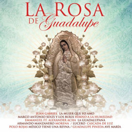 Rosa de Guadalupe