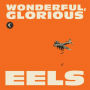 Wonderful, Glorious