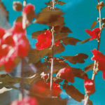 Alternative view 1 of Breathe