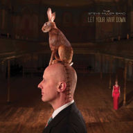 Title: Let Your Hair Down, Artist: Steve Miller Band