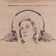 Title: Died in the Wool: Manafon Variations, Artist: David Sylvian