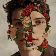 Title: Shawn Mendes, Artist: Shawn Mendes