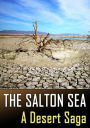 The Salton Sea: A Desert Saga