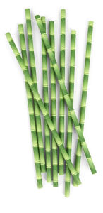 Title: Paper Straws + Bamboo 144 Per Box