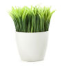 Grass Pen Stand