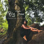 Big Tree