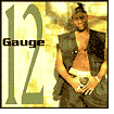 12 Gauge