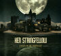 Danzig in the Moonlight