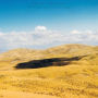 The Western Suite & Siesta Songs