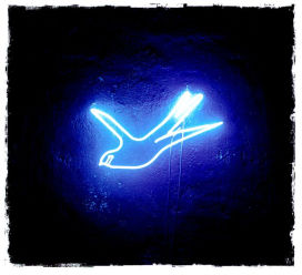 Neon Blue Bird