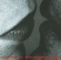 Soft Dangerous Shores