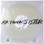 Mr Twin Sister