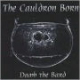 The Cauldron Born