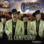 Campesino