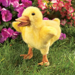 Alternative view 2 of Duckling Puppet