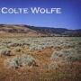 Colte Wolfe